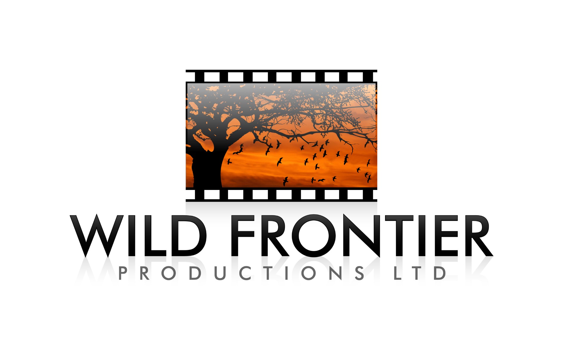 Wild Frontier Productions Ltd