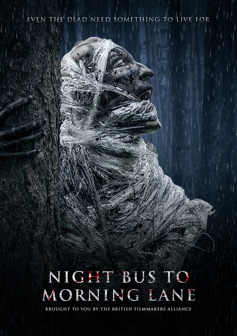 Night Bus to Morning Lane